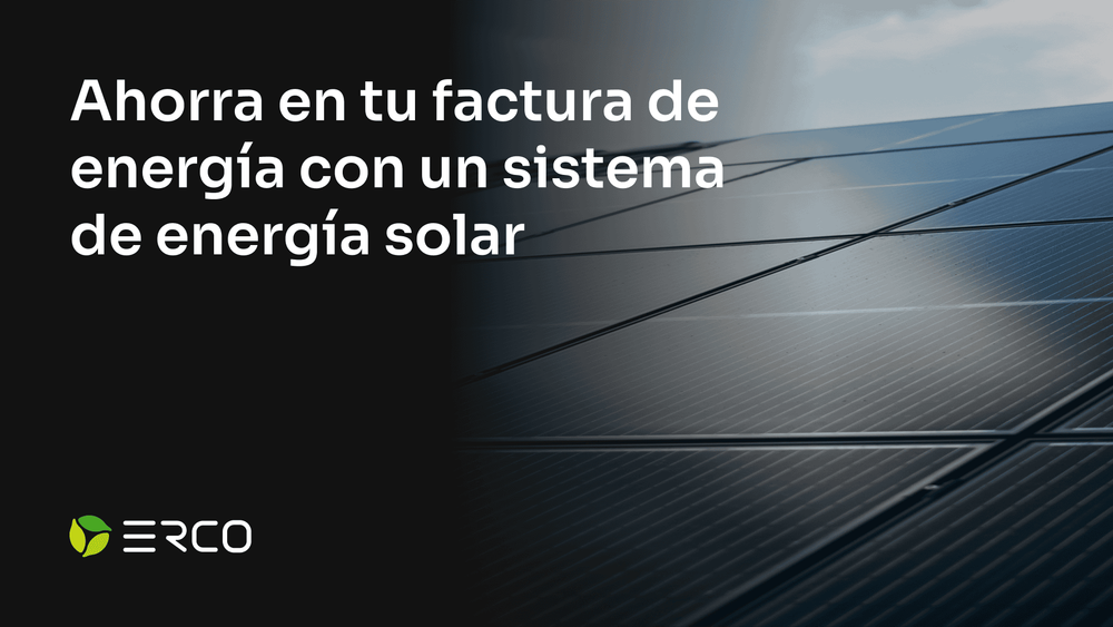 Ley 1715: los 4 incentivos tributarios para empresas.
